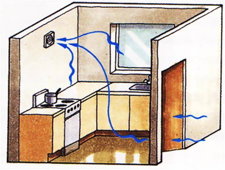 Вентиляция на кухне: как сделать ествесственную и принудительную