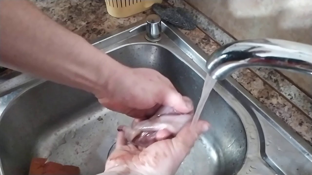 Как чистить кальмары – инструкция по быстрой очистке кальмара от пленки