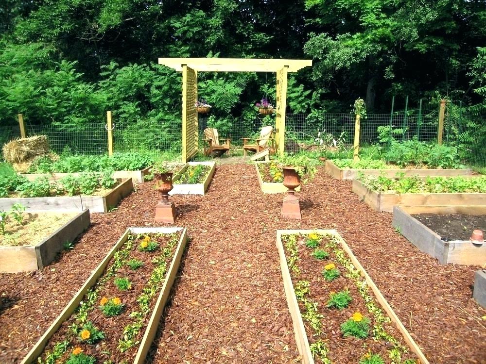 Kitchen garden. Огород с нуля. Картошка в декоративном огороде. Образцовый огород своими руками. Красивый огород и сад грядки и деревья.