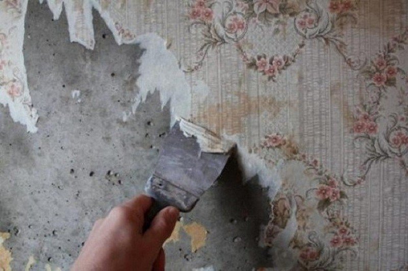 Советы опытных строителей, как легко и быстро убрать старые обои со стены