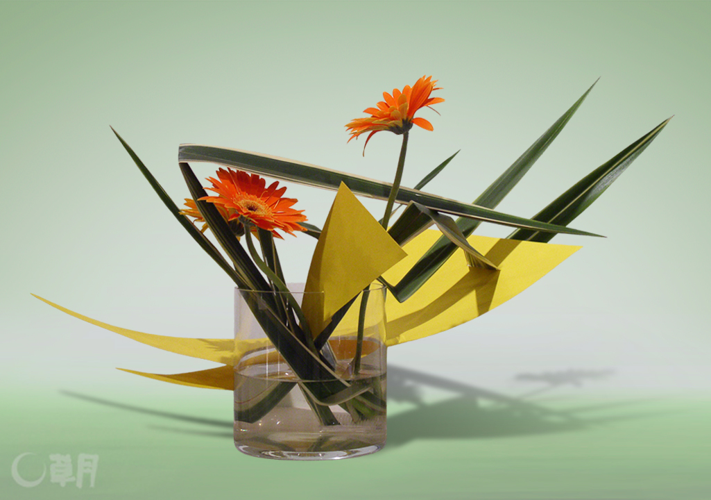 Гвоздика Ikebana