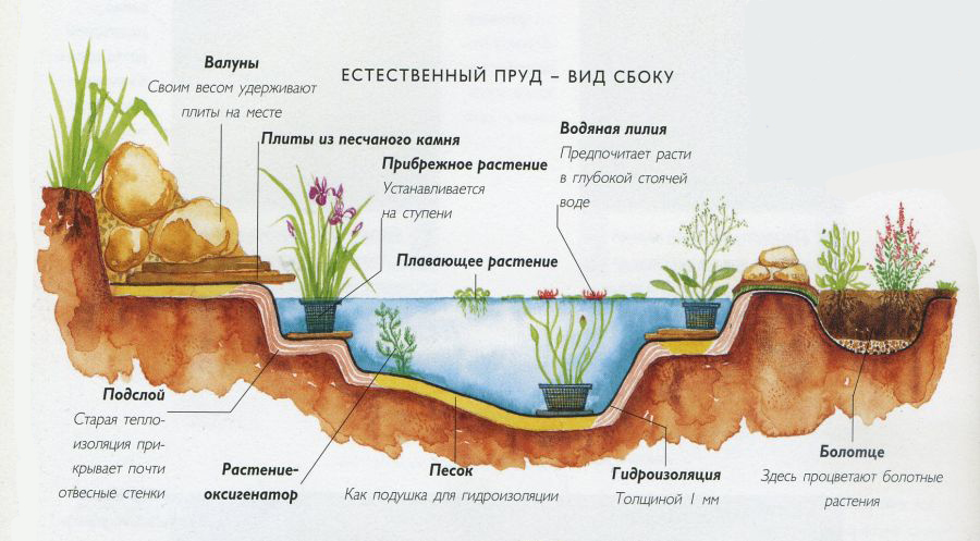 Как сделать пруд на участке загородного дома, на даче: пошаговая инструкция