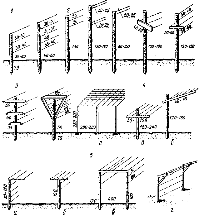 Опора для винограда картинки