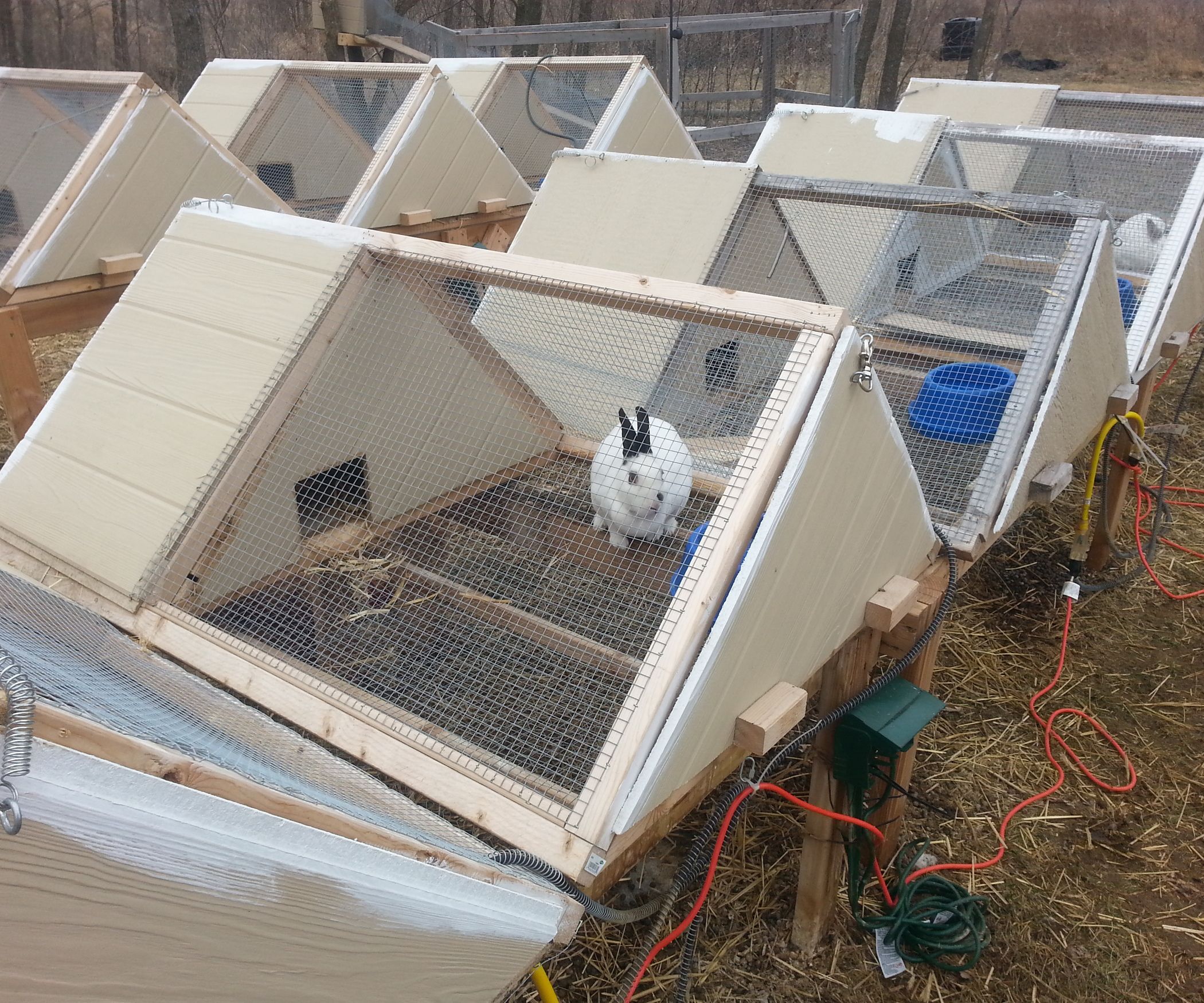 Rabbit Hutch Plans