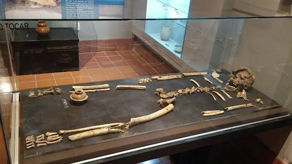 Подводный музей в канкуне удивительные экскурсии в мексике