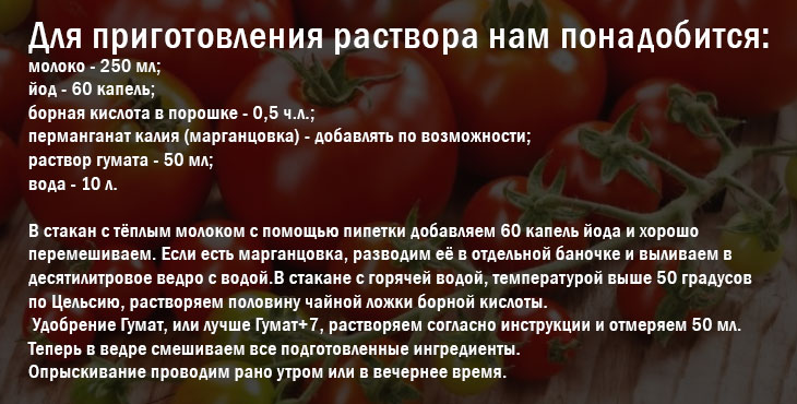 Чем опрыскать помидоры для завязи в теплице и открытом грунте – обзор народных средств и стимуляторов плодообразования