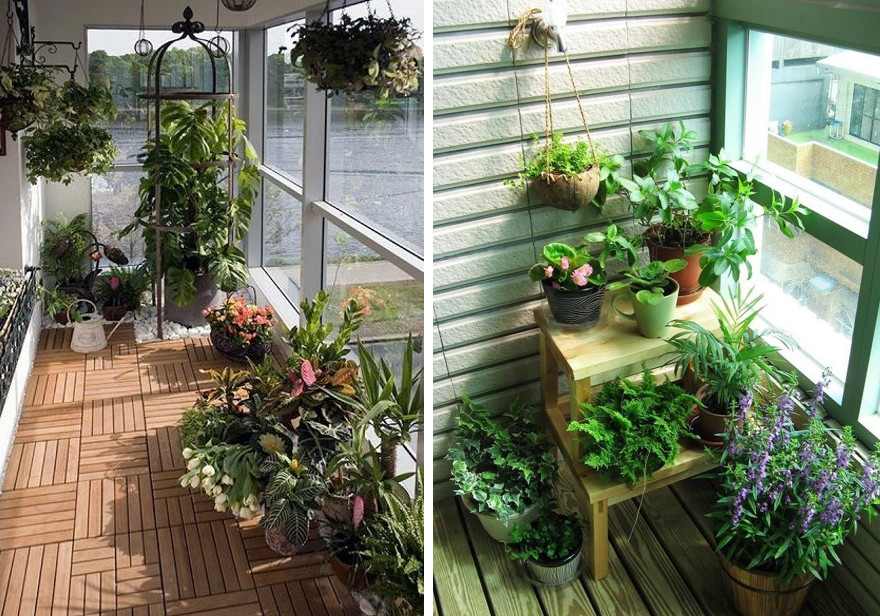 Зимний сад на балконе: советы по устройству