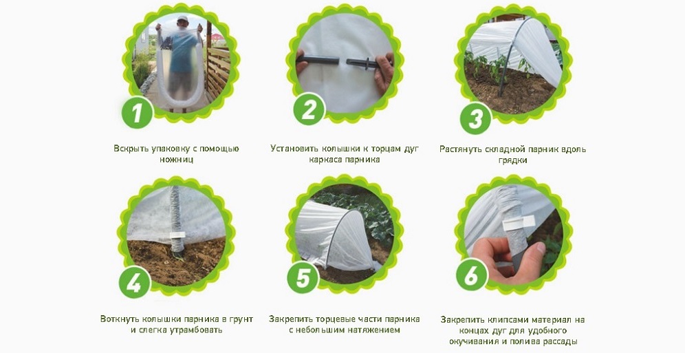 Парник подснежник