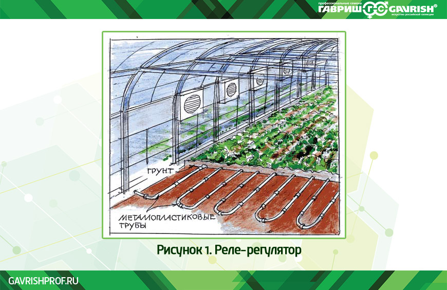 Какая температура должна быть для помидор в теплице из поликарбоната и открытом грунте: оптимальная, ночная,