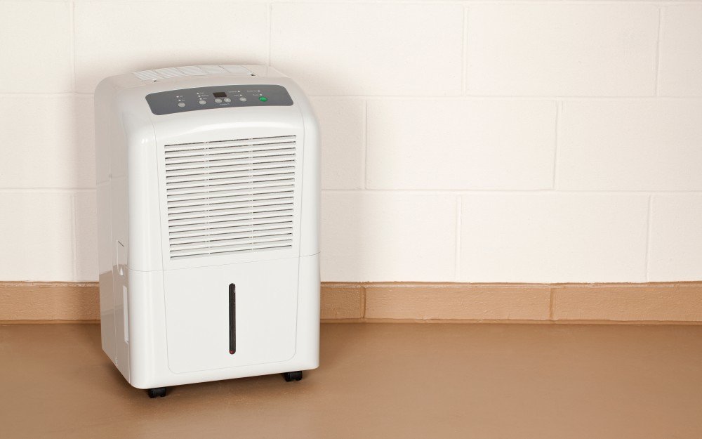Осушитель воздуха для квартиры: какой выбрать?