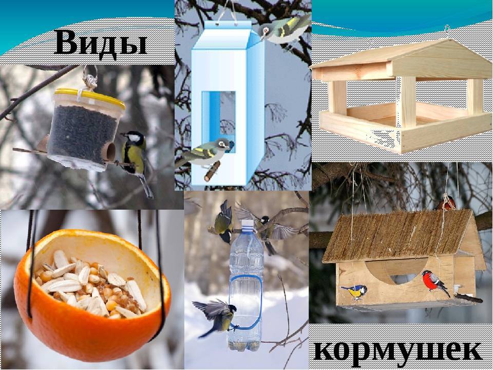 Кормушка для птиц из дерева своими руками: чертёж, размеры, технологическая карта