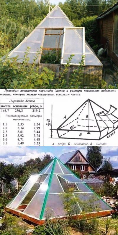 Теплица пирамида из поликарбоната своими руками чертежи