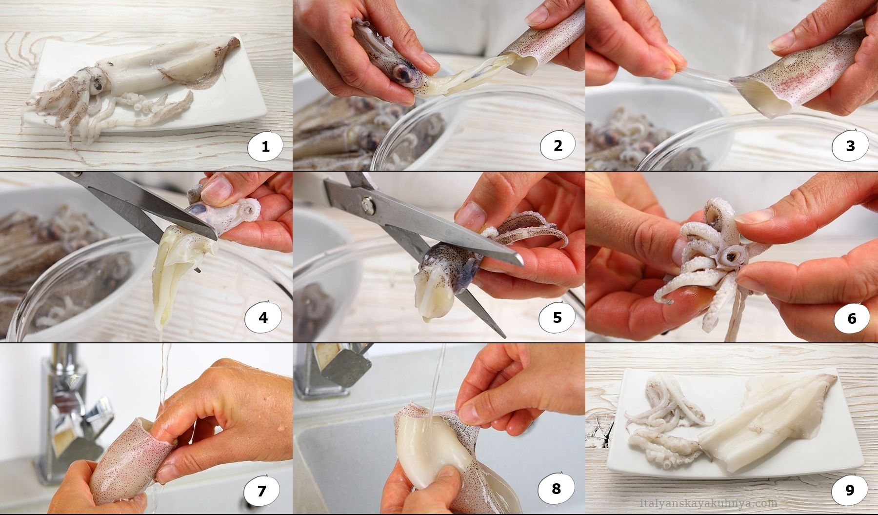 Вкусные морские гады: как правильно выбрать, почистить и сварить кальмаров
