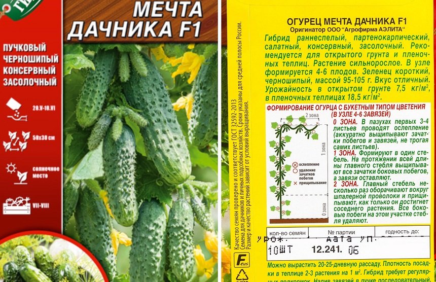Лучшие сорта огурцов для выращивания в теплицах Сибири: 3 вида