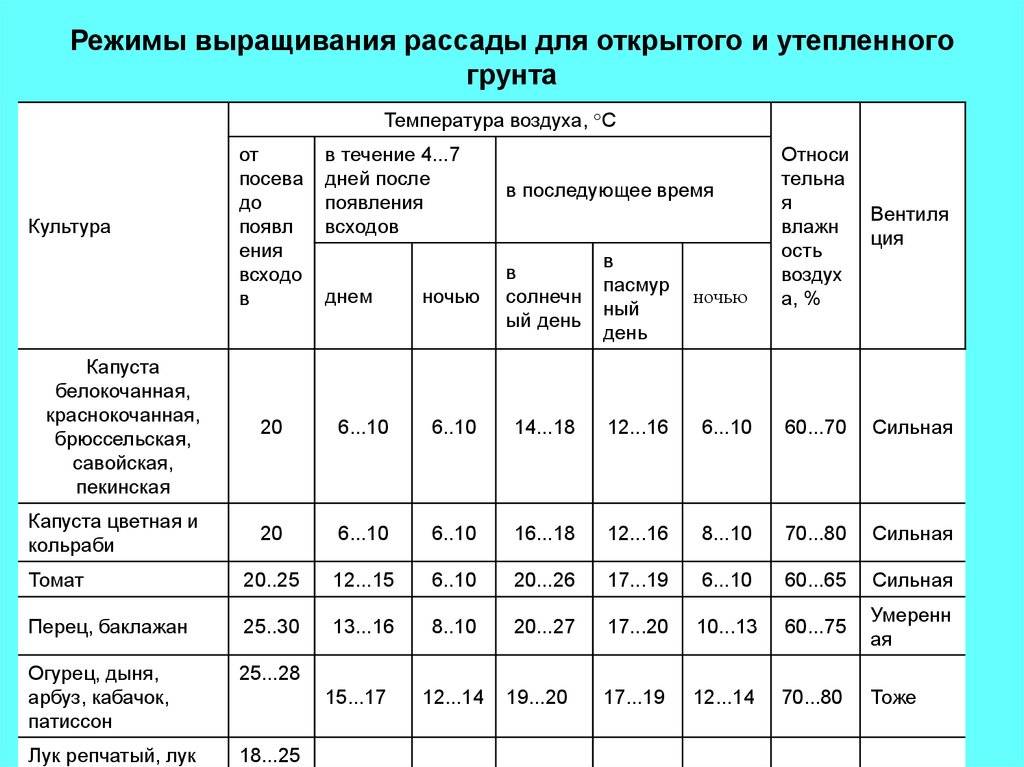 Требования к качеству рассады овощных культур