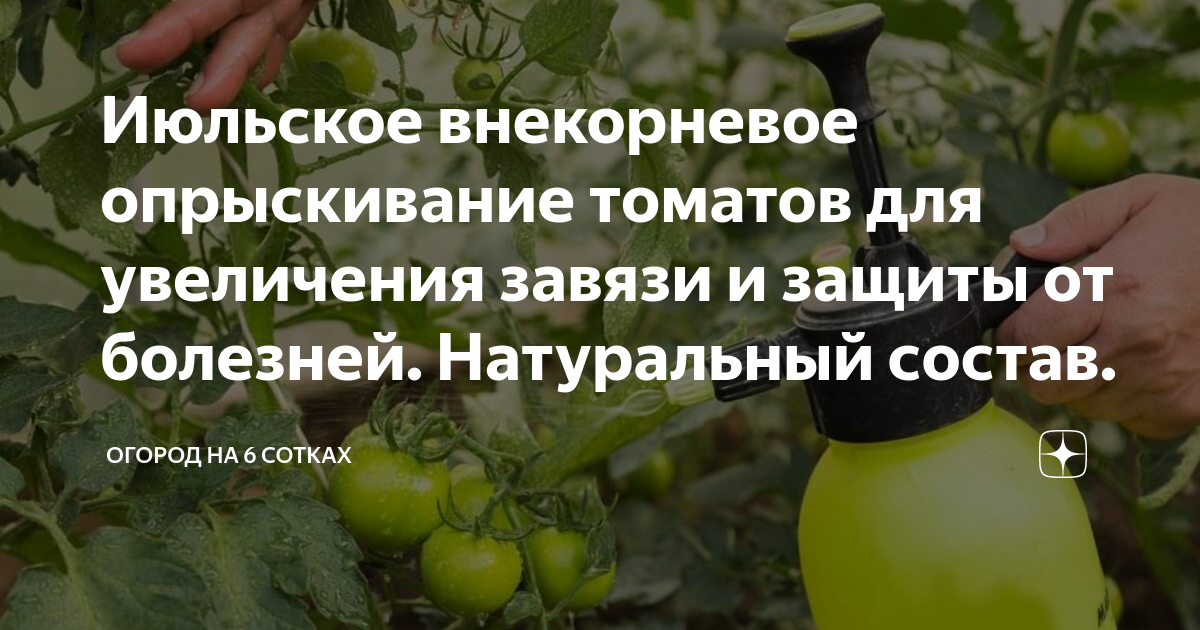 Борная кислота для помидоров и огурцов: эффективное опрыскивание