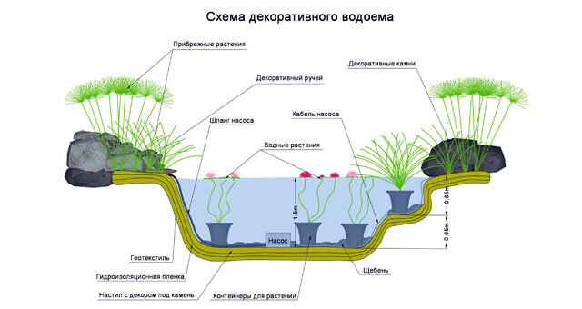 Разрез пруда чертеж