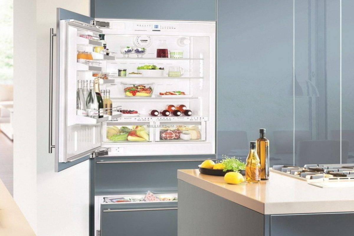 Чем отличается холодильник. Eng 2913 AOW встраиваемый холодильник. Electrolux встраиваемый холодильник 900 Pro. Electrolux rns8ff19s. Встраиваемый холодильник Electrolux lnt8te18s3 инструкция.