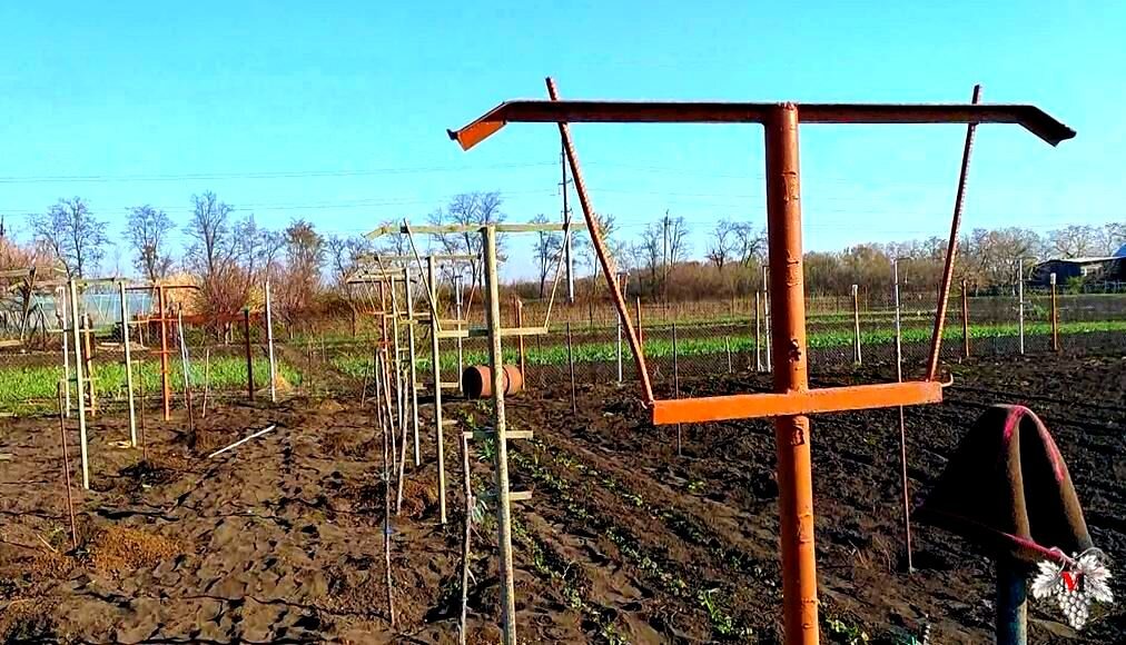 Изготавливаем шпалеру для винограда своими руками — шпалера как основа урожайности