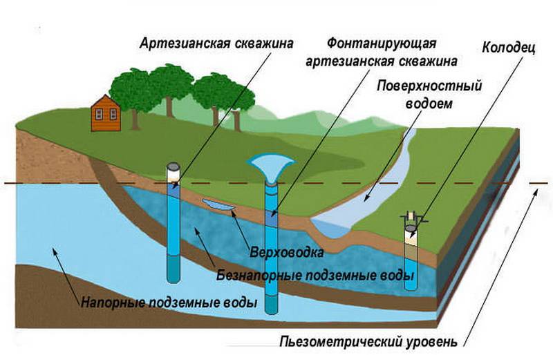 Как найти воду на участке для скважины: различные способы поиска