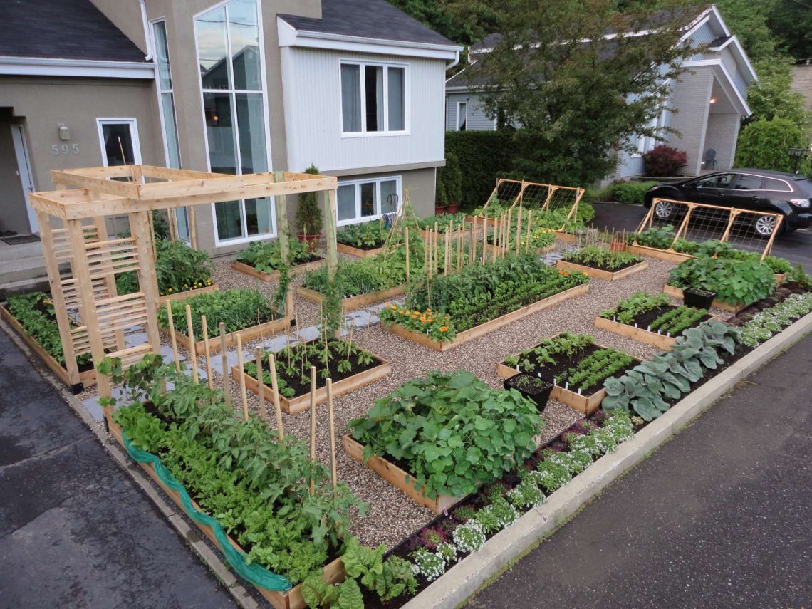 Как красиво посадить грядки в огороде: 10 сногсшибательных идей!!!