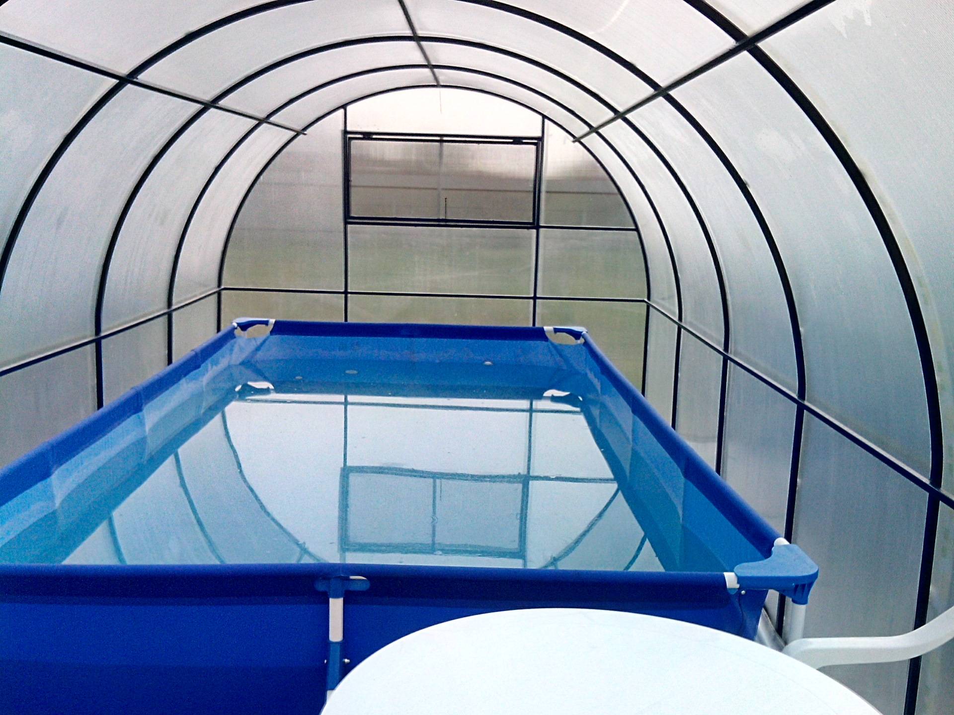 Оборудование для бассейна в теплице из поликарбоната: 11 плюсов