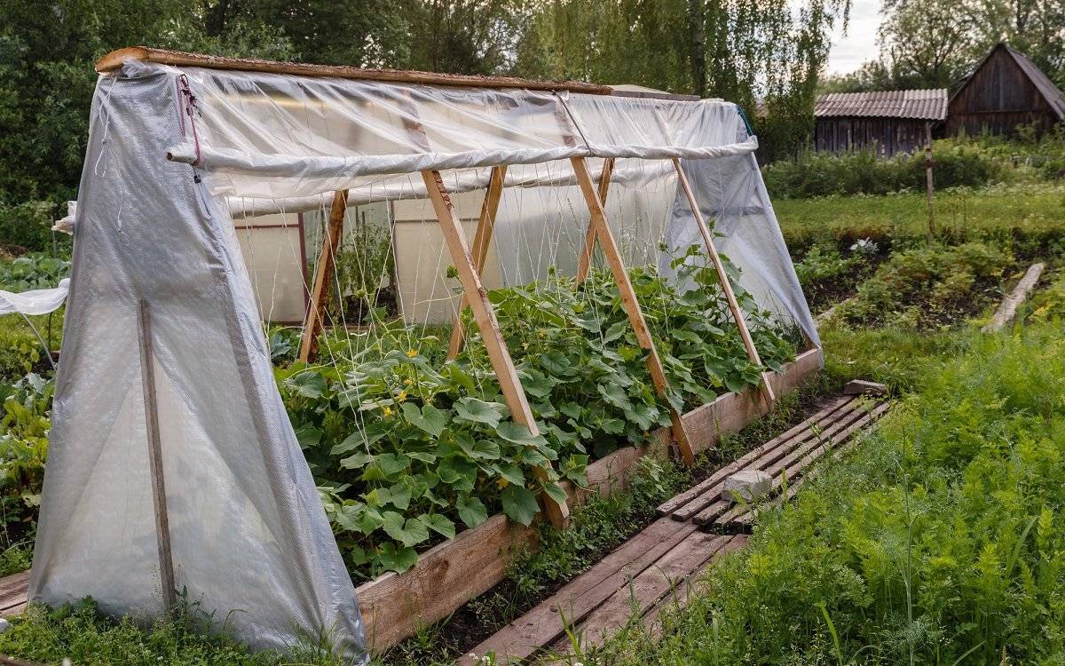 Парник для огурцов своими руками из дерева под пленку фото