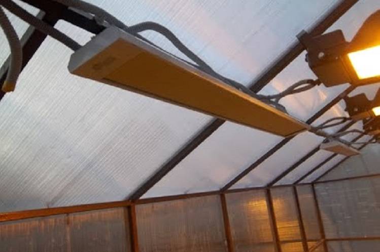 Инфракрасные обогреватели для теплицы из поликарбоната: потолочное отопление, обогрев и отзывы, газовые лампы