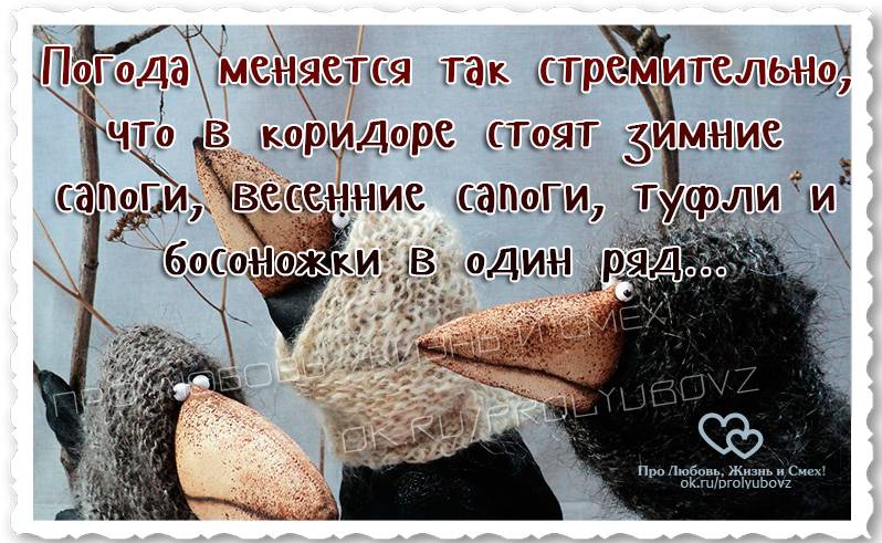 Когда дача на носу – что важно успеть сделать в марте