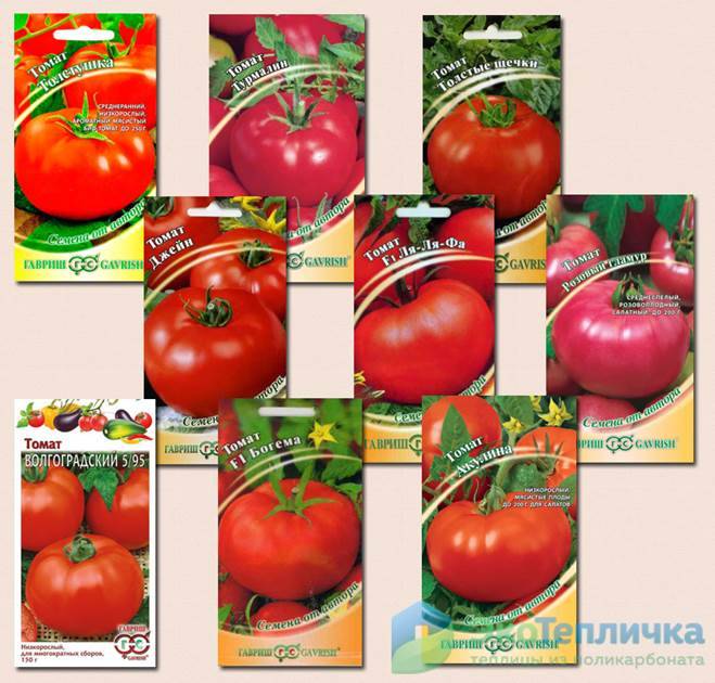 Лучшие сорта томатов для теплиц: фото, названия и описания (каталог)