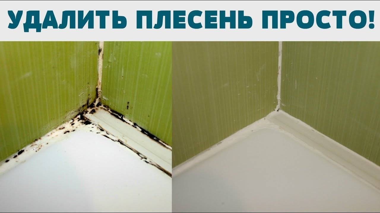 Как убрать плесень в ванной, как вывести грибок (на потолке и плитке стен, с герметика и силикона, на шторе), народные средства и инструкции