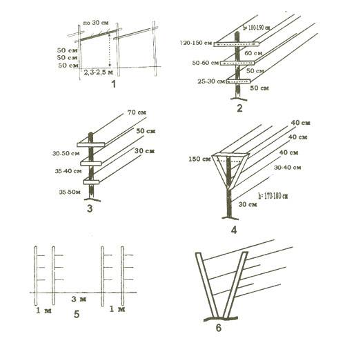 Одноплоскостная шпалера для винограда своими руками чертежи