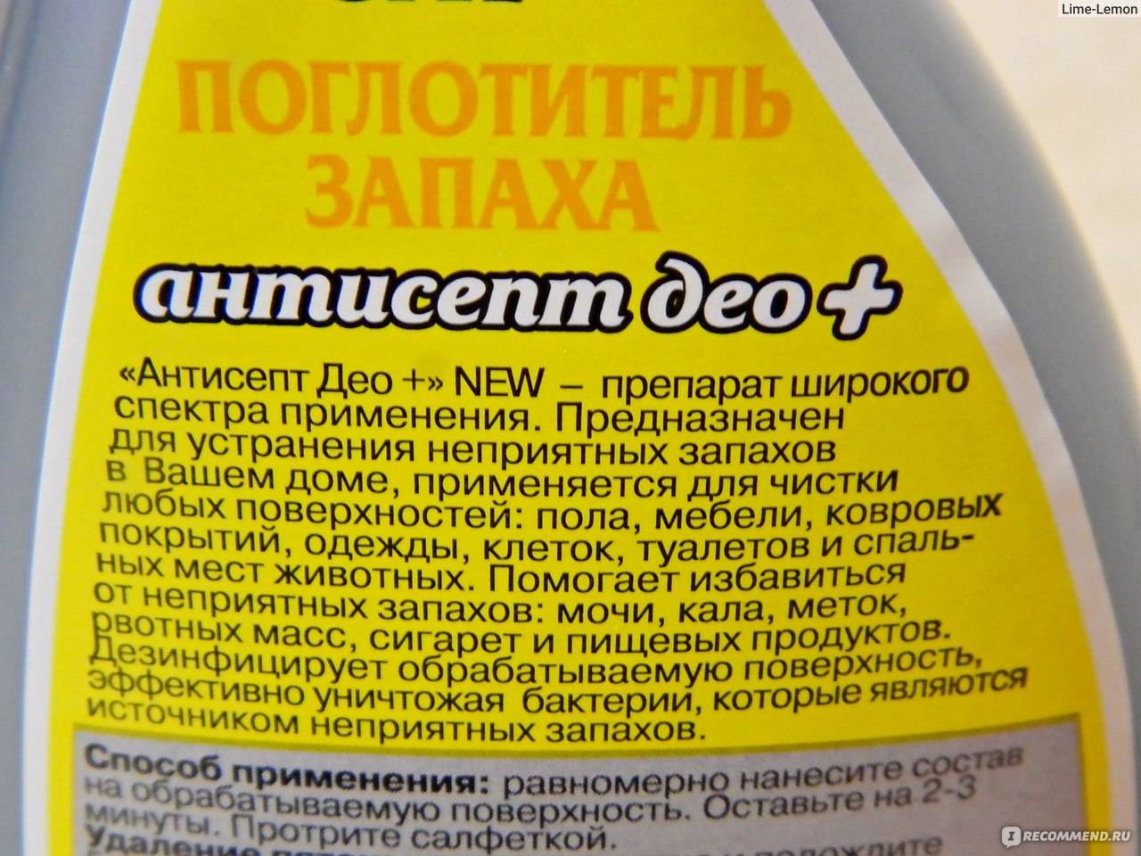 10 способов избавиться от запаха кошачьей мочи в квартире