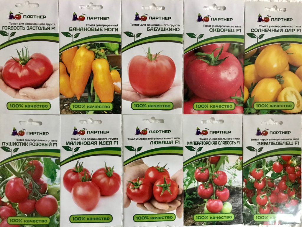 Опыление в теплице. как опыляются помидоры в теплице: основные методы