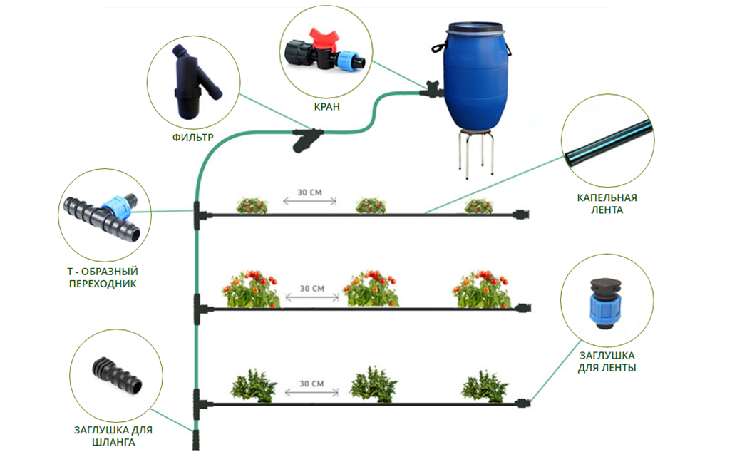Капельный полив схемы фото