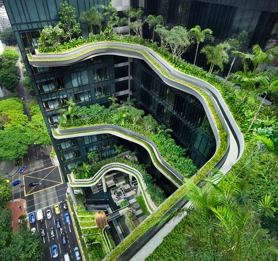 Деревья растут на крышах вьетнамского дома, построенного vo trong nghia architects | портал о дизайне и архитектуре