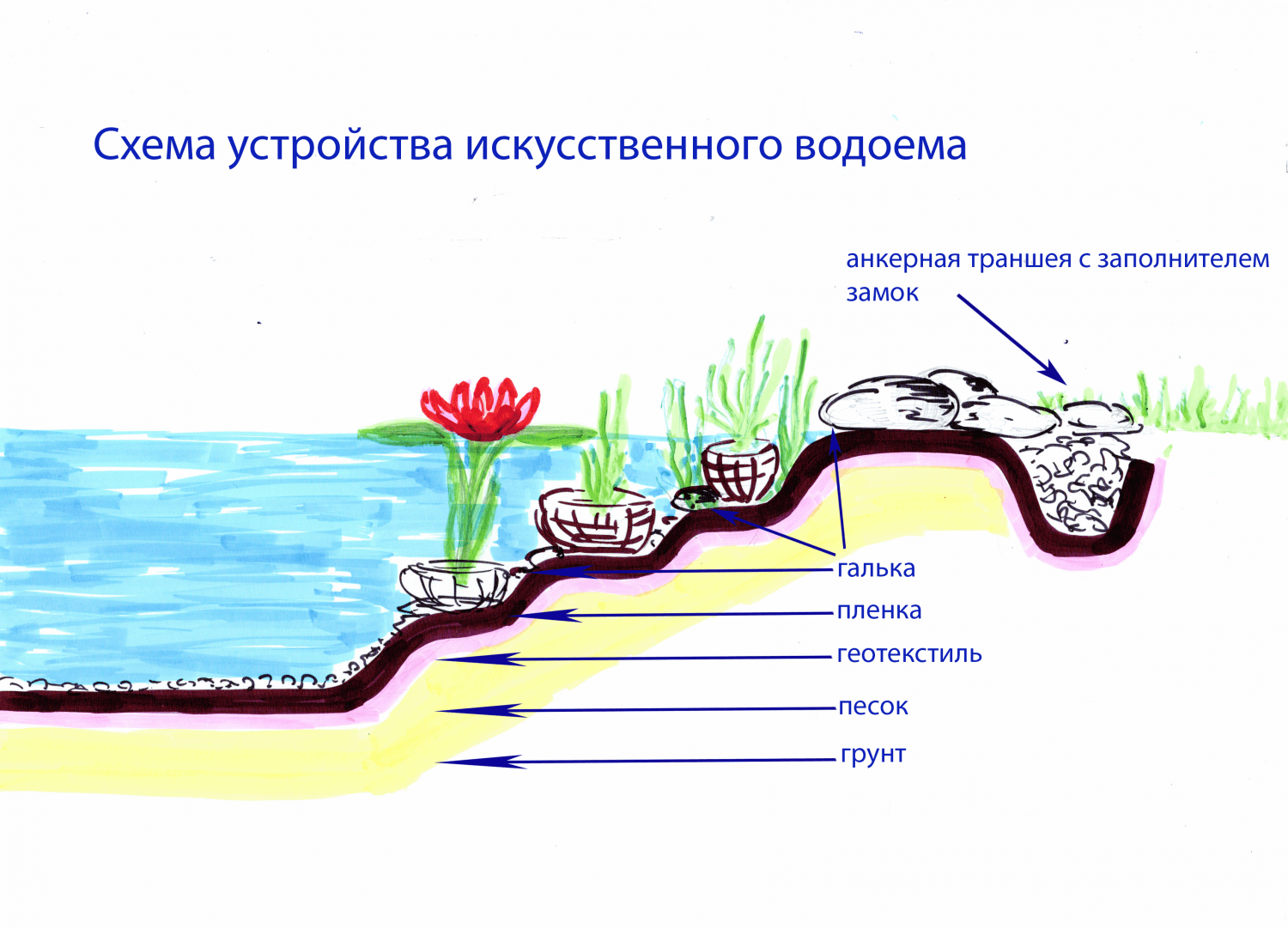 Как сделать пруд на даче своими руками – искусственный декоративный водоем в саду и на участке, пошагово с фото