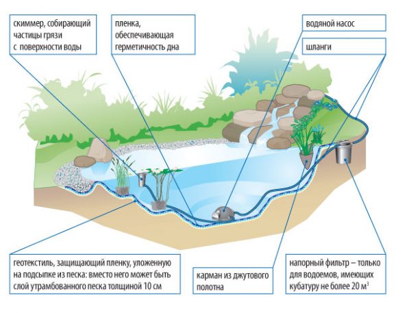 Декоративный водоем план