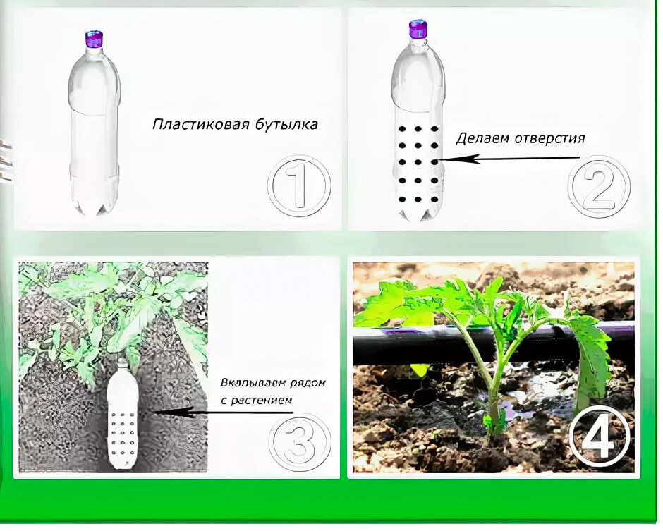 Схема полива томатов в теплице