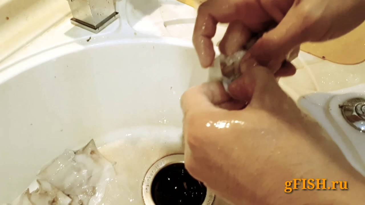 7 способов сварить и почистить кальмаров