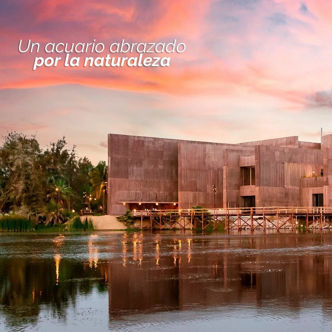 Эллиптический музей Mazatlán в Мексике