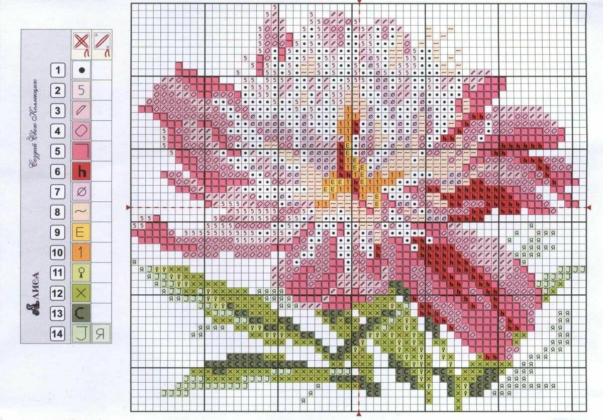 Вышивка крестом схемы бесплатно пионы