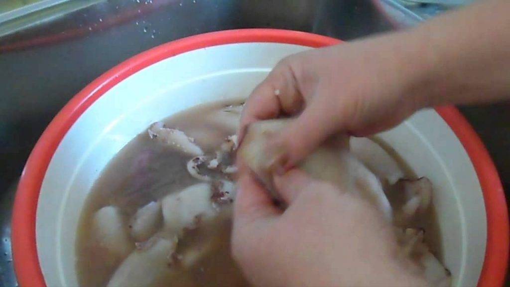 Как варить кальмары замороженные и очищенные, чтобы были мягкие