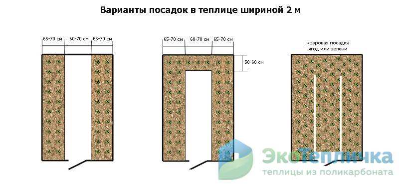 Грядки в теплице 3 на 6: размеры, как лучше сделать и обустроить, фото