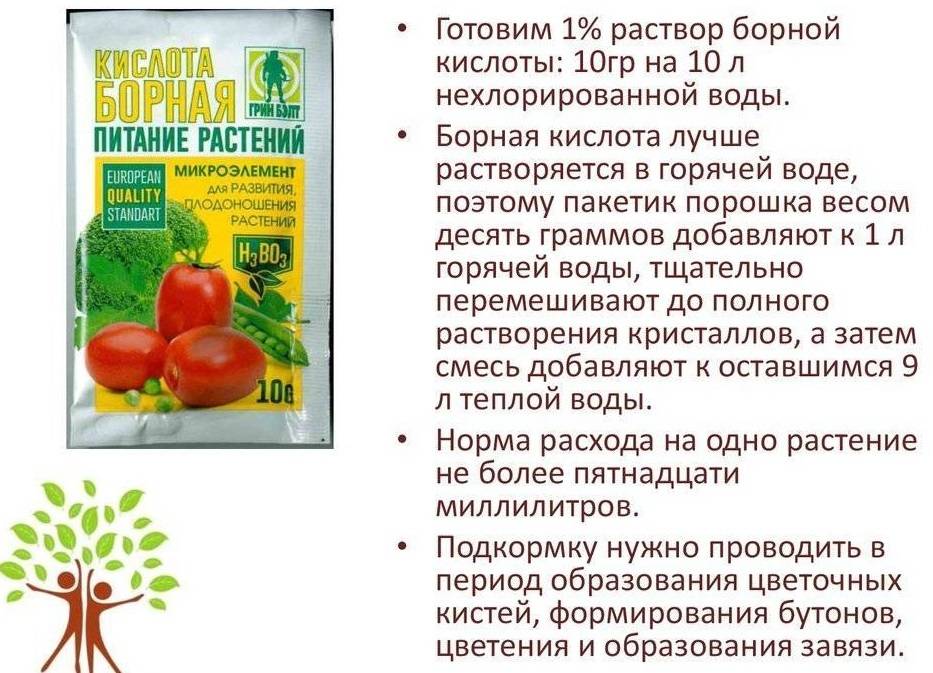 Как бороться с фитофторой на помидорах: эффективное лечение
