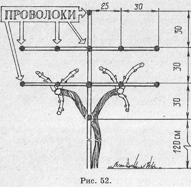 Для винограда опора из металла своими руками фото чертежи