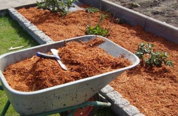 Опилки - применение как удобрение почвы