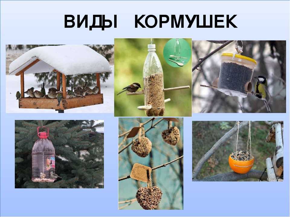 Кормушки для птиц картинки