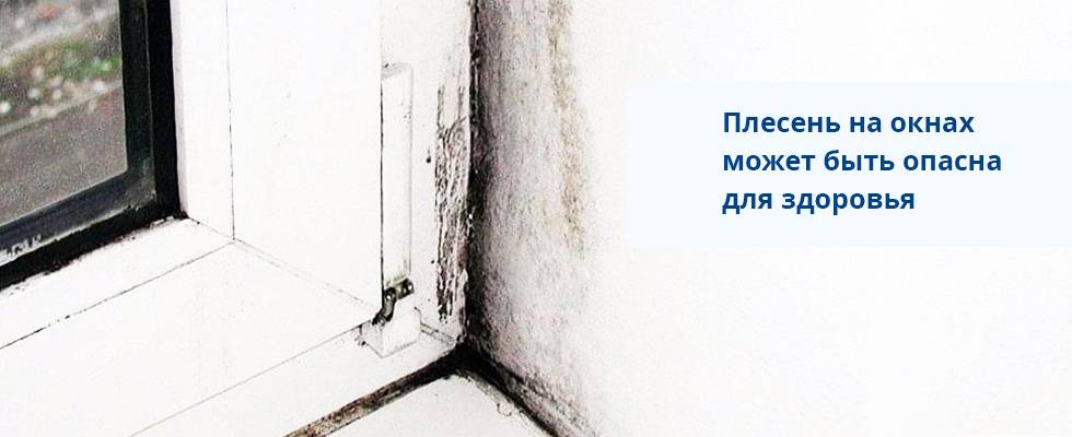 Плесень на откосах пластиковых окон