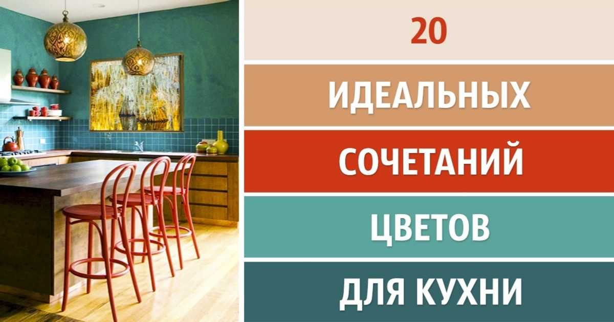 Лучшие комнатные растения для дома и квартиры